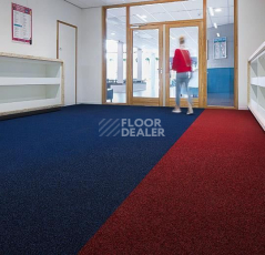 Forbo Coral Bright 2607 deep water фото 2 | FLOORDEALER